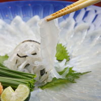 ふぐてっさ