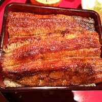 炭焼 うな富士 有楽町店 - 