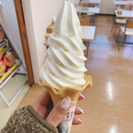 Sakudaira Parking Area (Kudari)