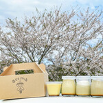 いなべプリン店 - 員弁川で 桜といなべプリンの記念写真