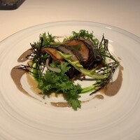 レストラン リューズ - 新潟魚沼産　八色椎茸をタルト仕立てに　ラルドの薄いベールで覆って