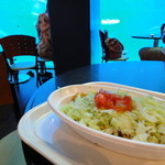 タコライス（600円）