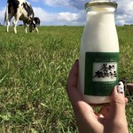 イタリアンジェラート