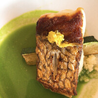 Wattle Tokyo - 