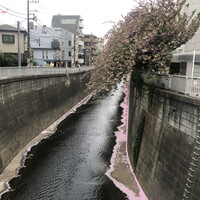 焼鶏あきら 中目黒本店 - 