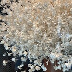 生粉打ち やじま - 『「世界を変える生糸の力」研究所 』
繭で作ったお花✨✨