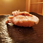 日本橋蛎殻町 すぎた - ホッキガイ