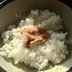 立喰そば きうち - 朝セット温1/2かけそばセット370円、いか塩辛ご飯