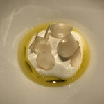 カンテサンス - 