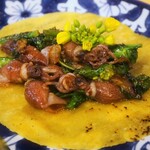 Tacos y Tequila Mole - 蛍烏賊と菜の花のタコス