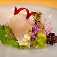 神楽坂 よこ田 - お造り　　アイナメの油霜造り