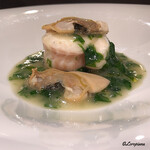 カーサ・デル・チーボ - ﾅﾒﾀ鰈のﾛｰﾄﾛと姫貝のｳﾞｧﾎﾟｰﾚ