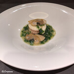 カーサ・デル・チーボ - ﾅﾒﾀ鰈のﾛｰﾄﾛと姫貝のｳﾞｧﾎﾟｰﾚ