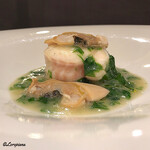 カーサ・デル・チーボ - ﾅﾒﾀ鰈のﾛｰﾄﾛと姫貝のｳﾞｧﾎﾟｰﾚ