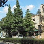 201209 Cafe La Boheme　銀杏の季節は綺麗だろうね(^_^)v.jpg