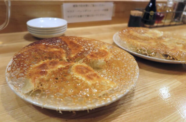 Hanegi Gyoza