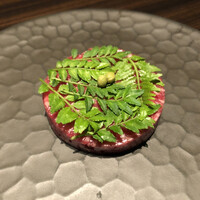 焼肉うしごろ 銀座並木通り店 - 実山椒と木の芽、和牛のタルタル