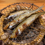 豪龍久保 - 諸子