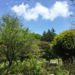 アビオファームズマーケット - 4月の風