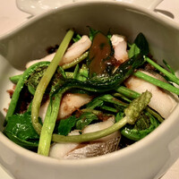 Benoit Alain Ducasse - 