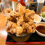 Karaage Hitosuji - 