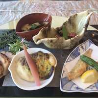 新宿 星のなる木 - 