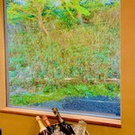 齋華 - ◎カウンター越しの大きな窓からはもみじの樹木が美しい。
      