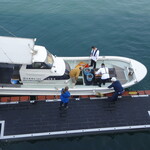 ガンツウ - 朝の仕入れ、血抜きをしています。