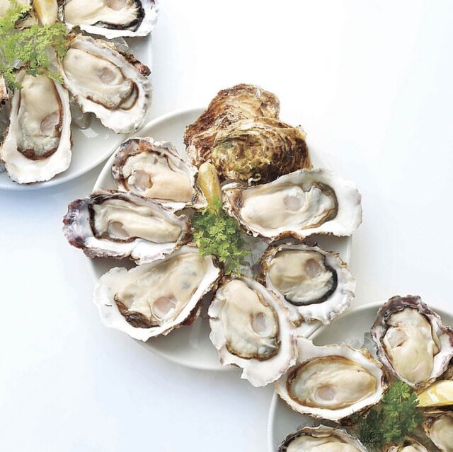 料理メニュー ザ オイスタールーム 名古屋ラシック店 The Oyster Room 旧店名 ガンボ オイスターバー 栄 名古屋 シーフード 食べログ 料理メニュー ザ オイスタールーム 名古屋ラシック店 The Oyster Room 旧店名 ガンボ オイスターバー 栄 名古屋 シーフード 食べログ