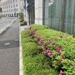 ASAHINA Gastronome - 