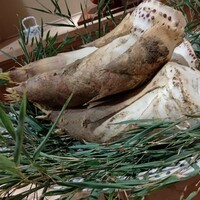 富小路 やま岸 - 