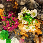 ASAHINA Gastronome - 