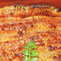 新宿うな鐵 はなれ - 木の芽が美しい