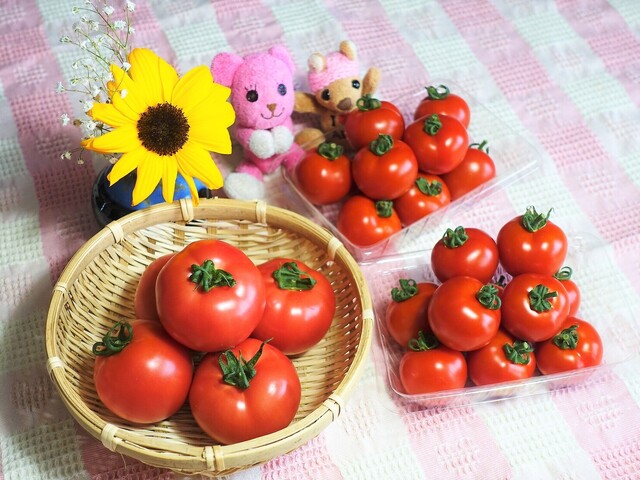 とまと農園 金剛 その他 食べログ