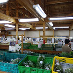 Satono Eki Oohara - 生産者の顔写真入りの大原産の野菜