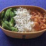 Uotani Iseibei Shouten - 日の丸じゃなくてトリコローレ (Tricolore italiano)弁当