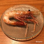 千陽 - 超特大ｻｲｽﾞのﾎﾞﾀﾝ海老