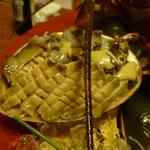 南海荘 - 鮑の造り