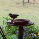 くつきそば 永昌庵 - 