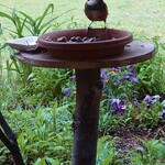 くつきそば 永昌庵 - 