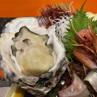魚竹 - 