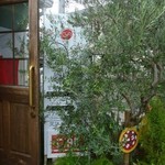 スガッチィー - 