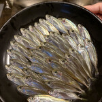 温石 - 並べるのが大変らしい（笑）