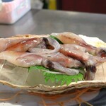 葵 - 生ホタルイカ