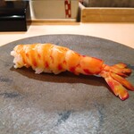 木挽町 とも樹 - 