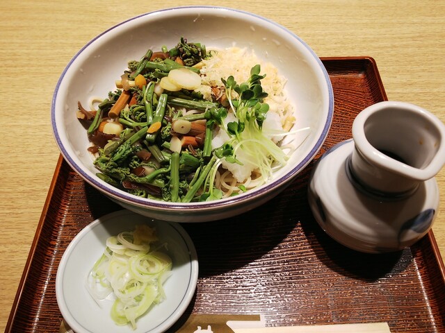 冷やし山菜そば 健康診断対策第3弾 By Mamekan Q 更科一休 横浜ポルタ店 いっきゅう 横浜 そば 食べログ 冷やし山菜そば 健康診断対策第3弾 By Mamekan Q 更科一休 横浜ポルタ店 いっきゅう 横浜 そば 食べログ