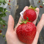 姫路ハートフル観光農園 - 