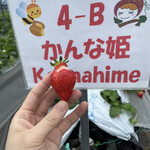 姫路ハートフル観光農園 - 