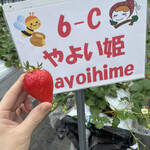 姫路ハートフル観光農園 - 