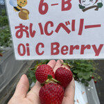 姫路ハートフル観光農園 - 